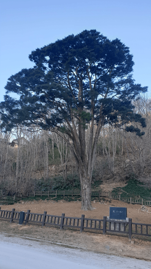 이 이미지는 대체 속성이 비어있습니다. 그 파일 이름은 image.png입니다